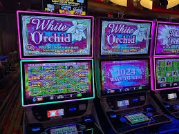 matrix slot featured game showcase